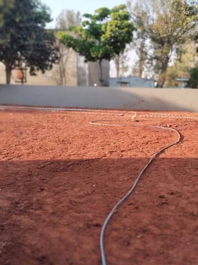 10 Steps to Water Your Plant – Organic Gardening-gardening-2024