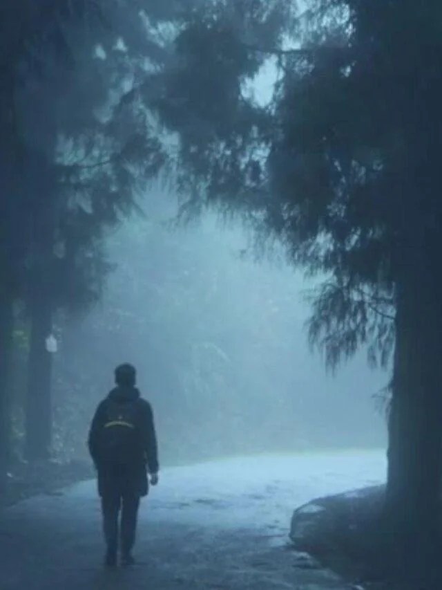 who is the best man in the world – Organic Gardening-gardening-2024