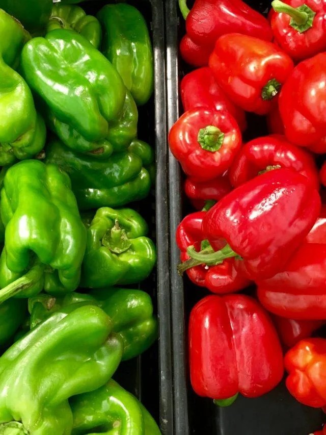 Grow Bell Peppers Easily now – Organic Gardening-gardening-2024