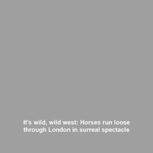 It's wild, wild west: Horses run loose through London in surreal spectacle